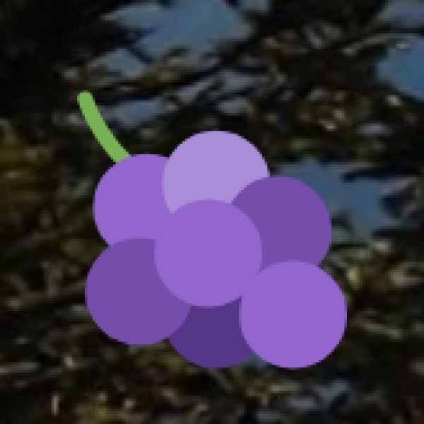 Penchalakona Hills Trek