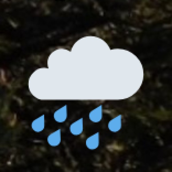 Agumbe Rainforest Trek – The 