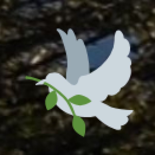 Best Time to Visit for Trekking & Nature Activities