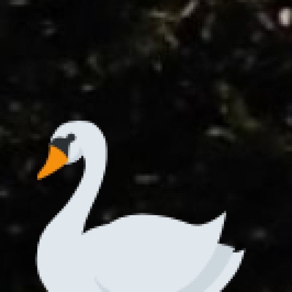 Why Visit These Nature & Adventure Spots?