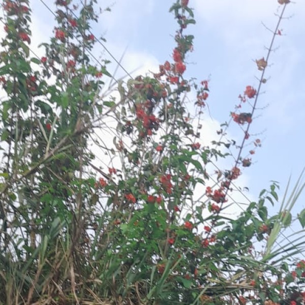 Top Activities & Experiences