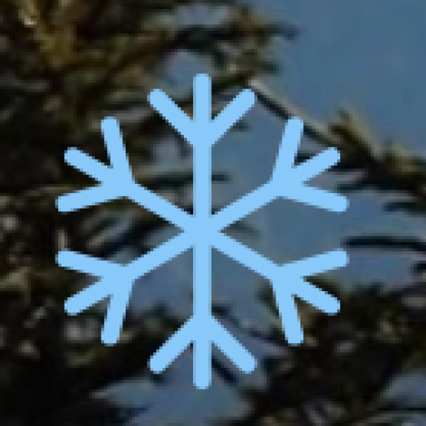 Wildlife & Nature Exploration