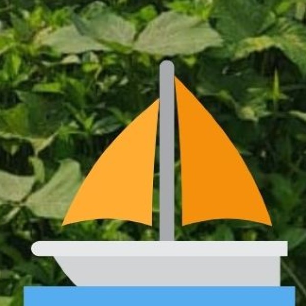 Zip Lining & Rappelling (Dandeli & Yellapur)