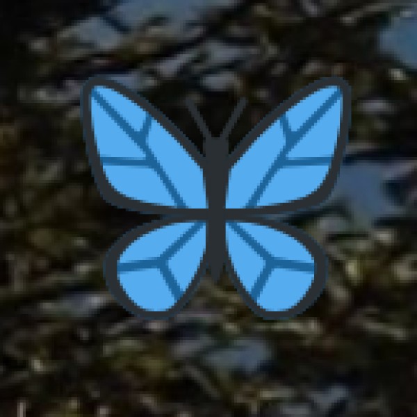 Kadiyapulanka Nurseries (Floral Paradise)