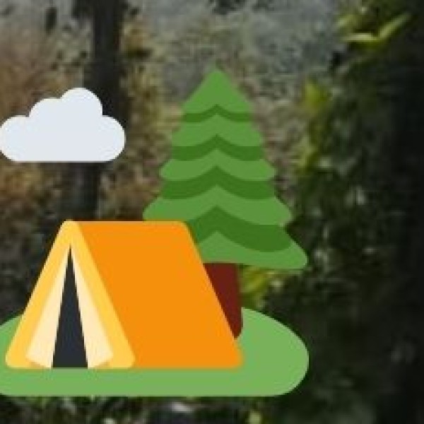 Jungle Camping at Kudremukh National Park