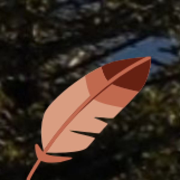 Riverside Camping at Godavari River