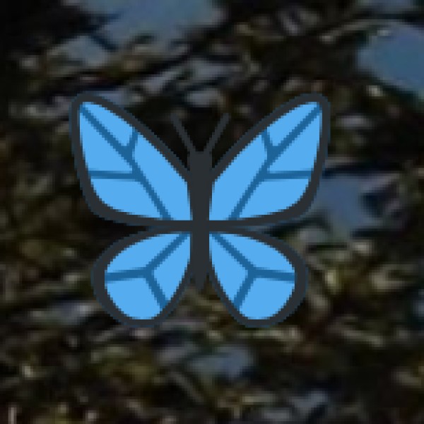 Camping & Night Adventures