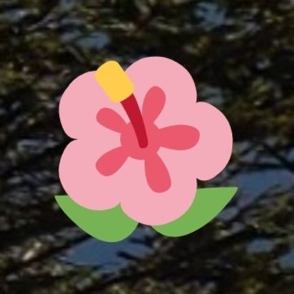 Unique Outdoor Experiences