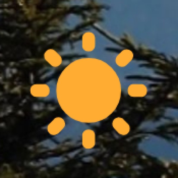 Bird Watching at Kolleru Lake