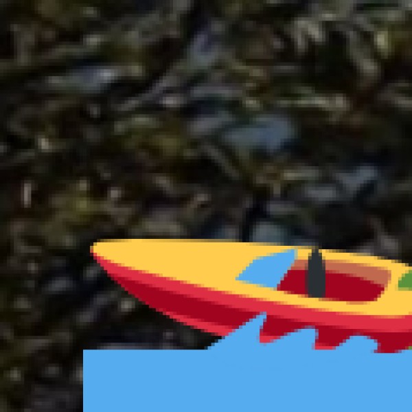 Enjoy Coracle Boating at Adavi Eco-Tourism