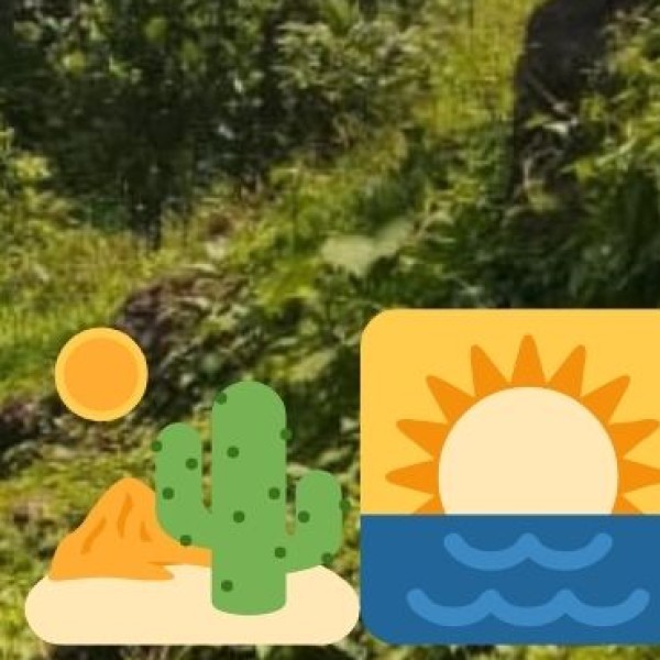 Godavari River Cruise (Day Trip)