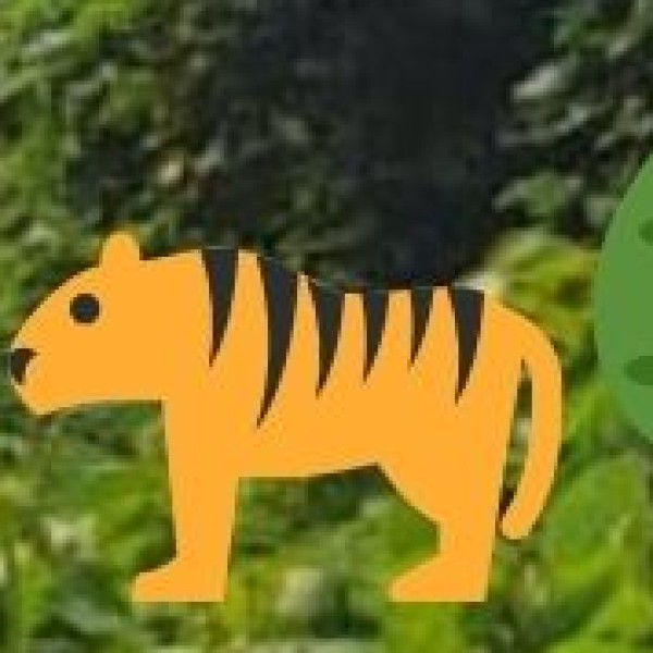 Jungle Safari in Parambikulam Tiger Reserve