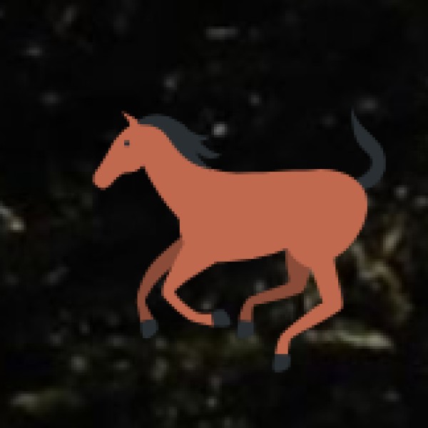 Off-Road Biking at Papikondalu Hills