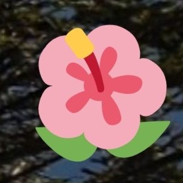 Historical Walk in Kadapa