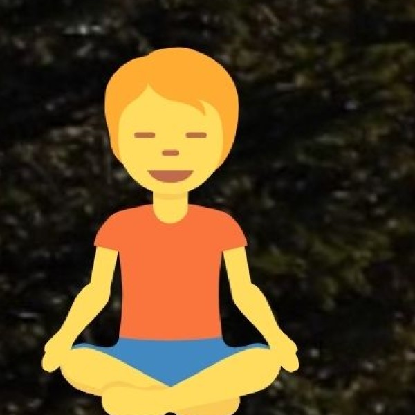 Wellness & Yoga Retreats