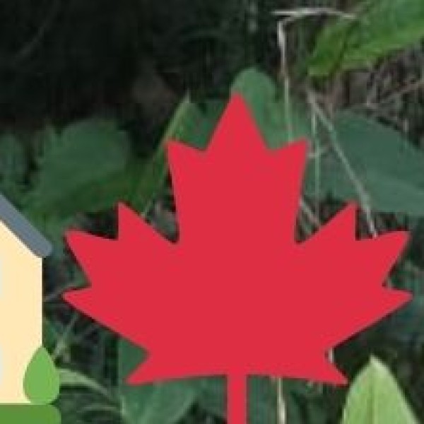 Gandikota Rock Climbing