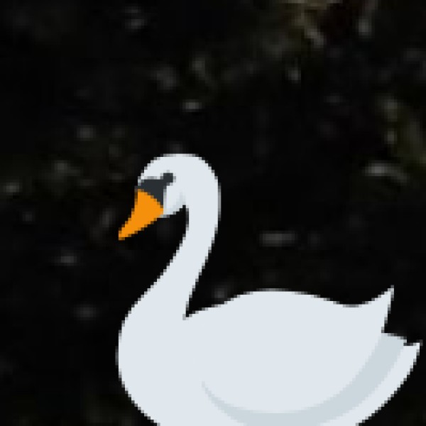 Wildlife & Nature Exploration