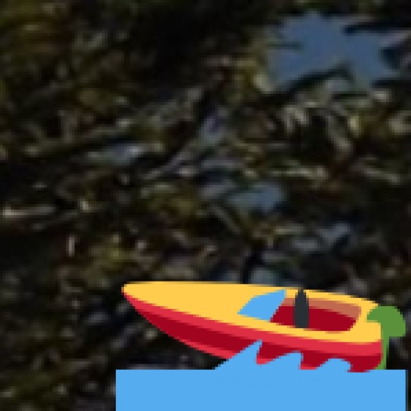 Boating & Water Activities