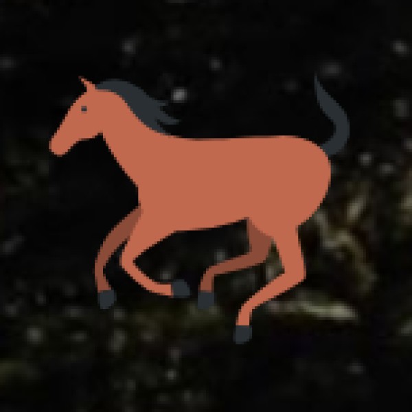 Stargazing & Night Camping at Kolleru Lake