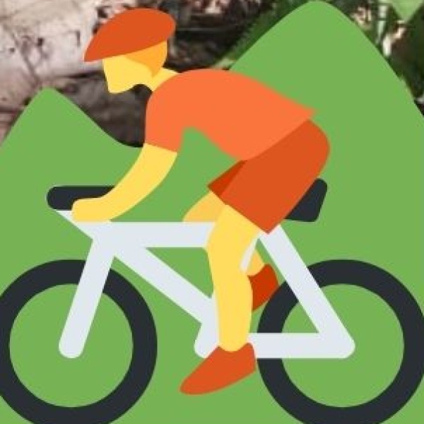 Cycling Trails in Munnar & Vagamon