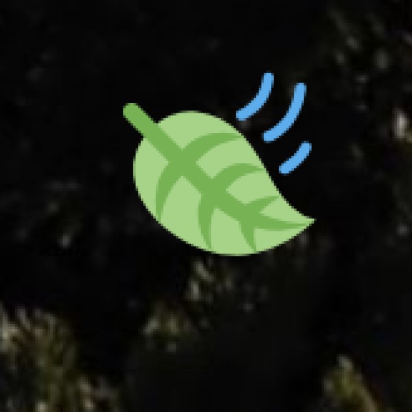 Jet Skiing & Speed Boating at Mypadu Beach