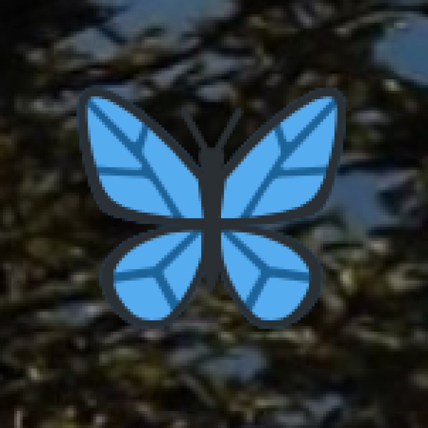 Riverside Camping at Kandaleru Reservoir