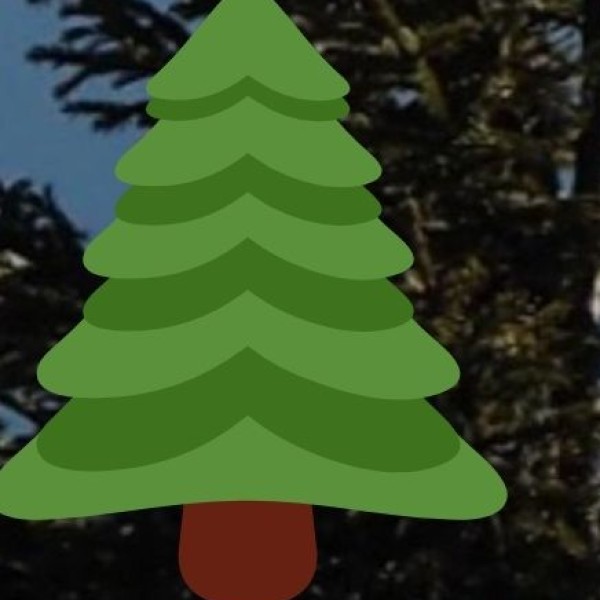 Agumbe Rainforest Trek (55 km from Shivamogga)