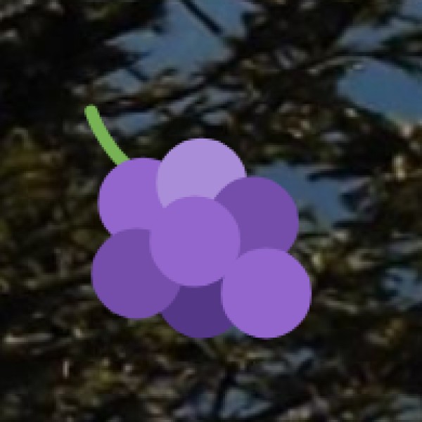 Off-Road Biking at Agumbe