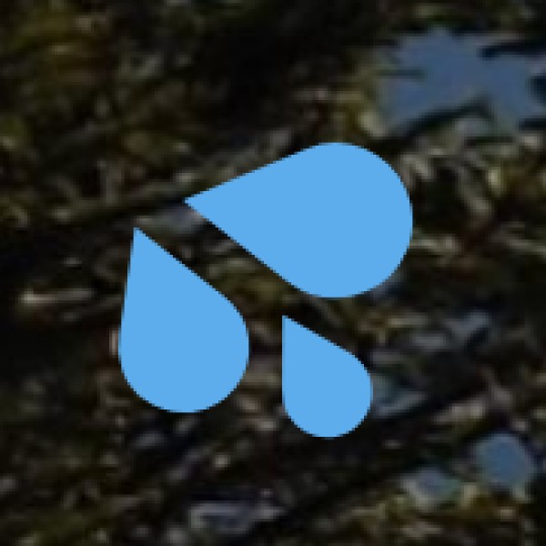 Puliyancholai Waterfalls – A Hidden Gem