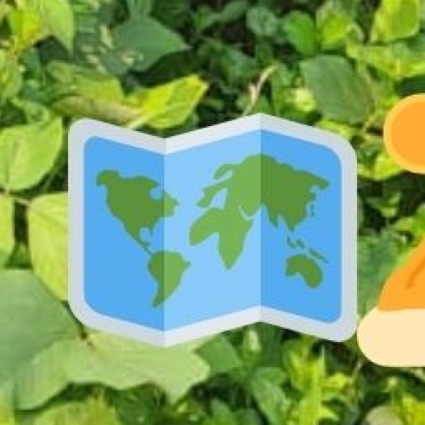 Things to Do on Thoothukudi’s Beaches & Islands