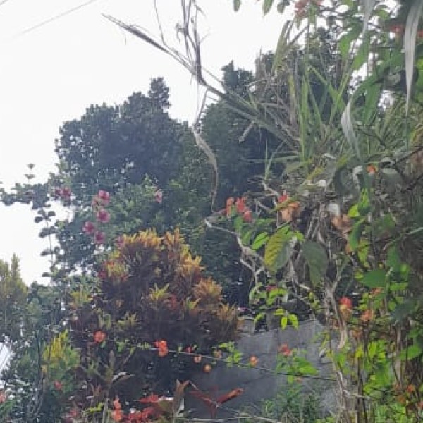 Top Activities & Experiences