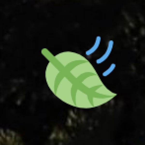 River Cruises & Boating