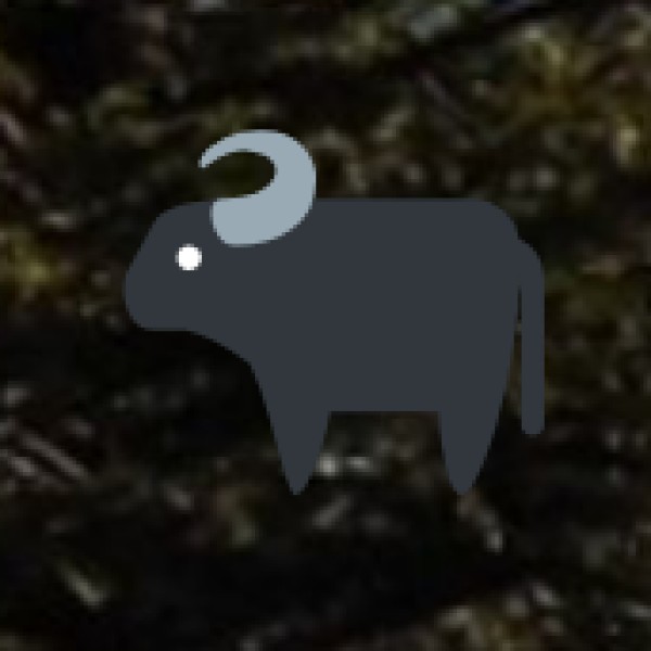 Wildlife & Nature Exploration