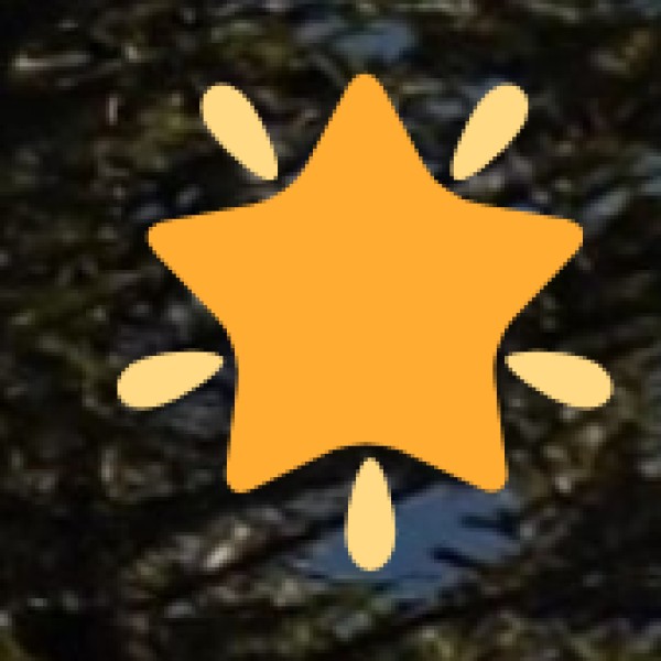 Chincholi Jungle Camping