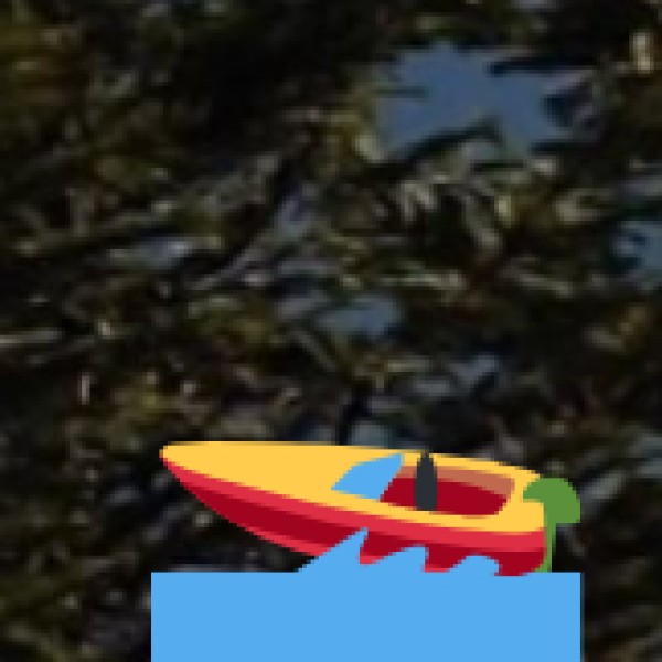 Mukkombu Dam (Upper Anicut) – A Miniature Kallanai Dam