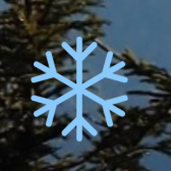 Trekking & Camping at Papi Hills