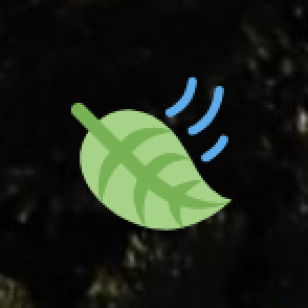 Waterfalls & Nature Trails at Jangareddygudem Forest