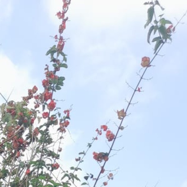 Top Activities & unique experiences