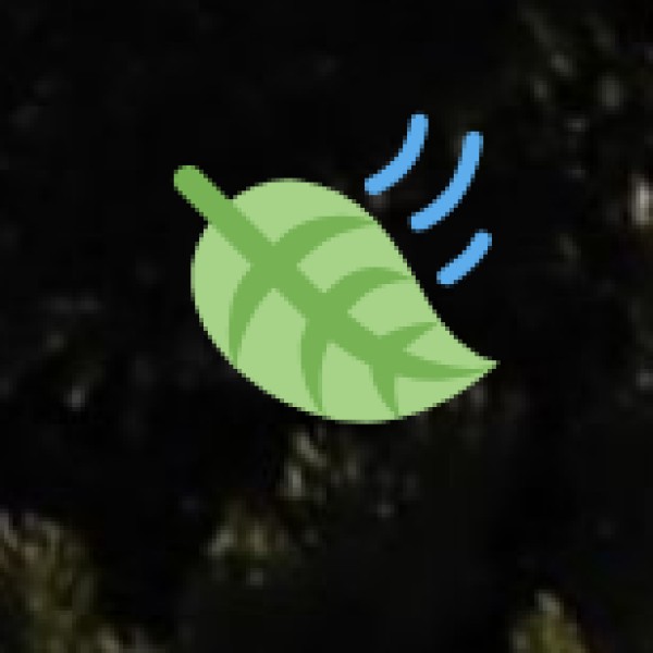 Why Food Lovers Should Visit Salem?