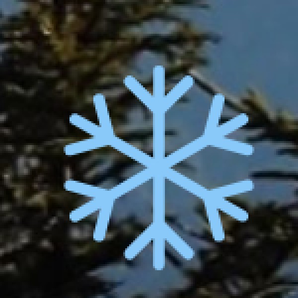 Food Festivals & Culinary Events