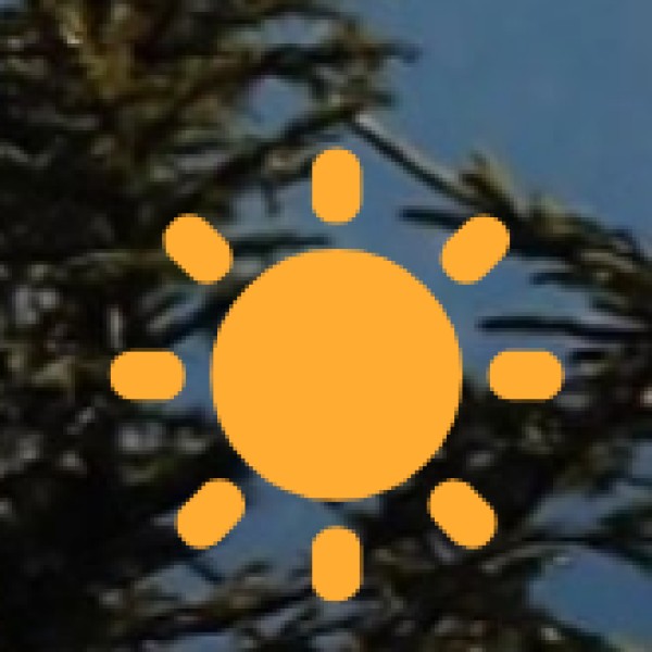 Street Food & Snacks