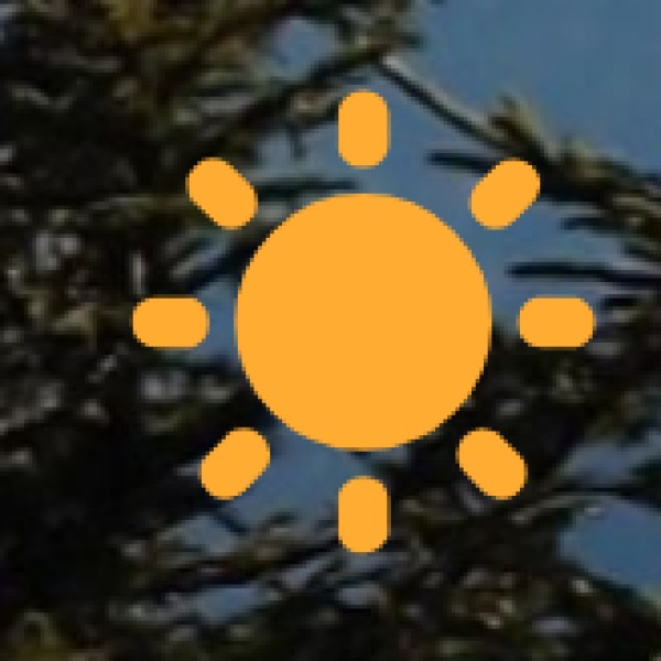 Best Shopping Places & Markets in Vellore