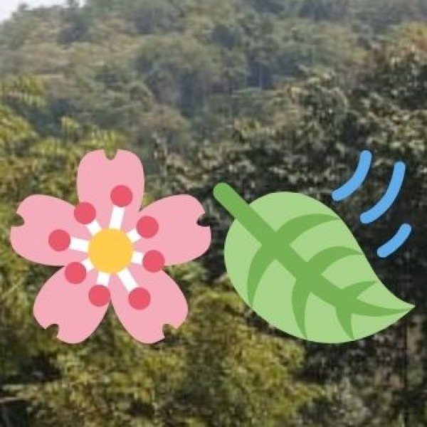 Best Beverages & Coffee in Davangere