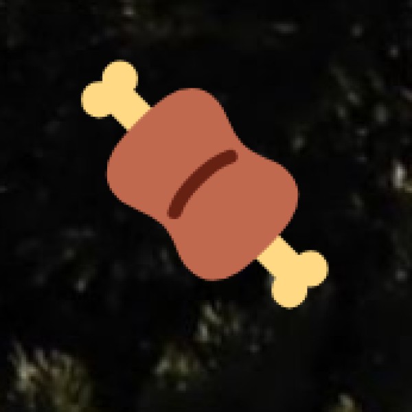 Mutton Kebab & Seekh Rolls