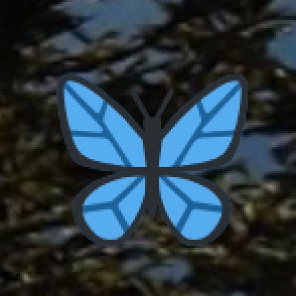 Iconic Dishes to Try in Davangere