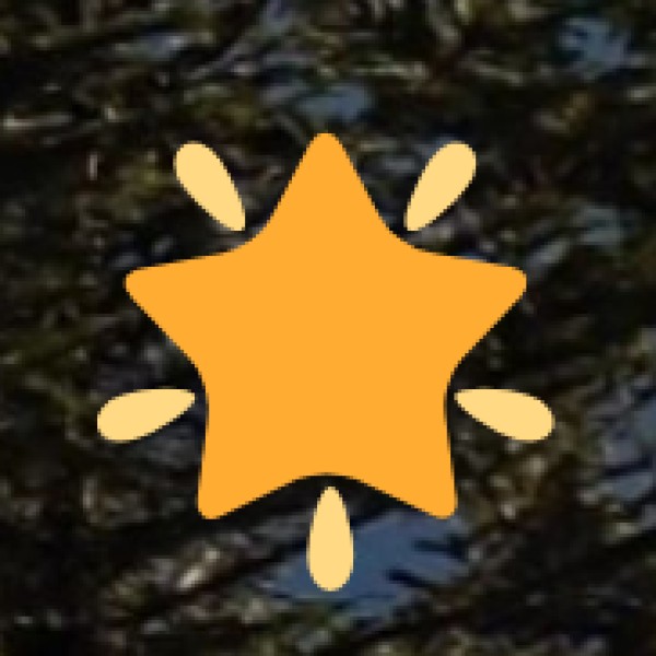 Kongu Nadu Chicken Curry