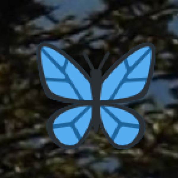 Best Souvenirs to Take Home from Thoothukudi