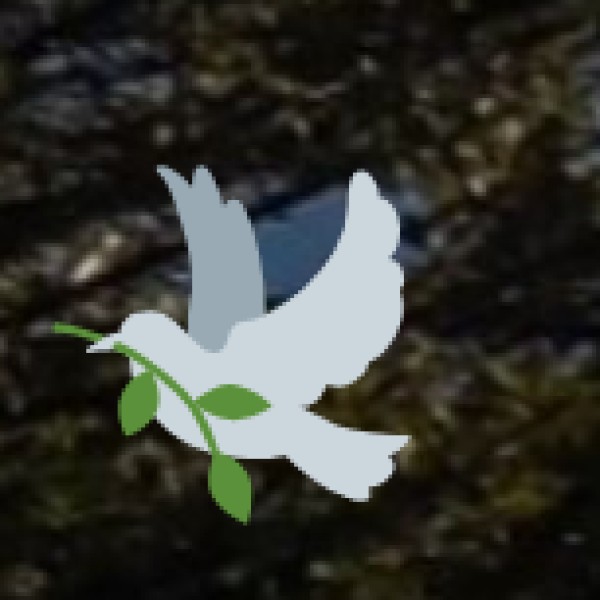 . Food & Culinary Experiences