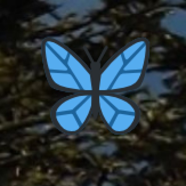 Unique Food Experiences in Shivamogga