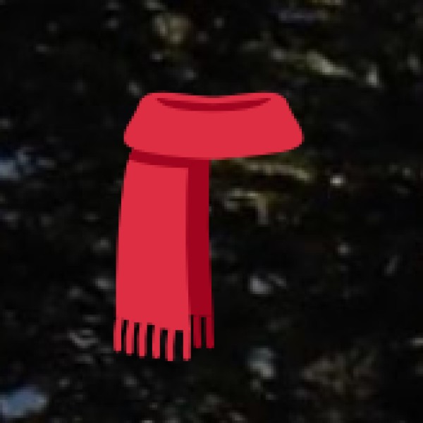 Best Souvenirs to Take Home from Hosur